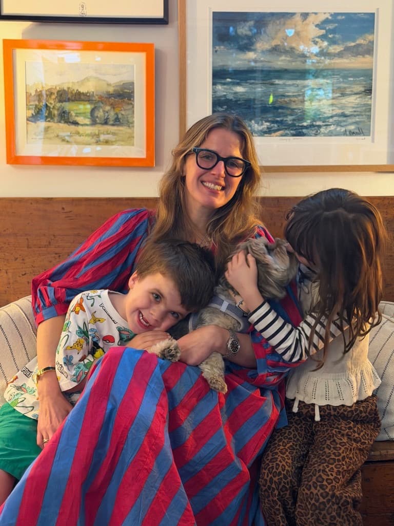 Blue and pink stripe house dress, evening